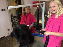 22730115_1941451392780191_1787366766792692005_n