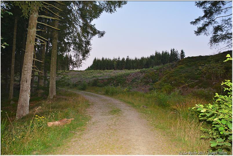 bg_berismenil_2015 (68)