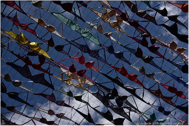 encheres_bam_2015 (56)