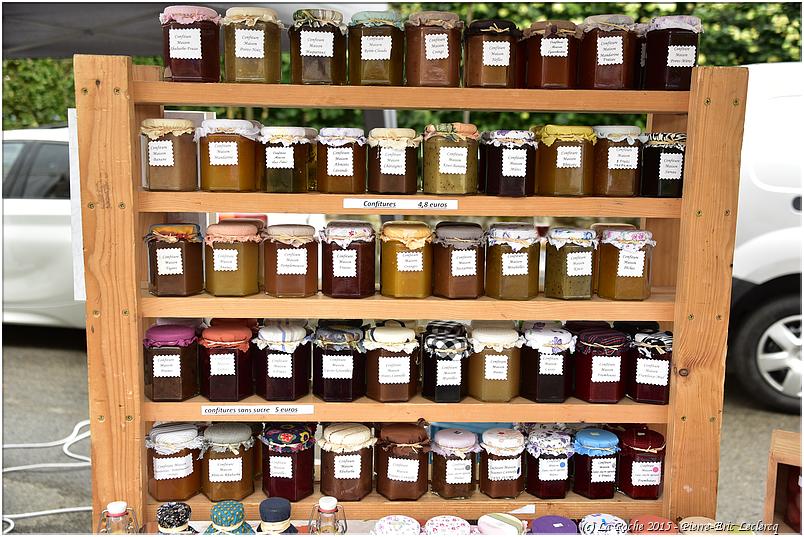 marche_hives_2015 (4)