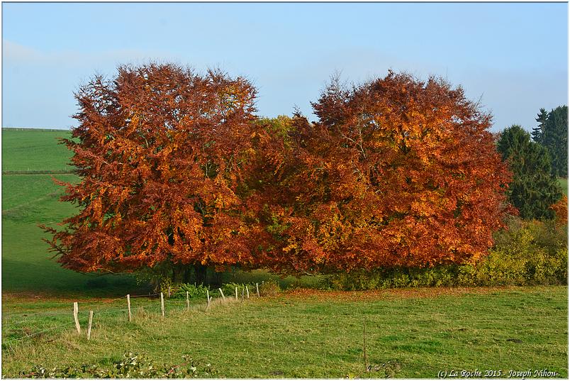 halloween_mousny_2015 (56)